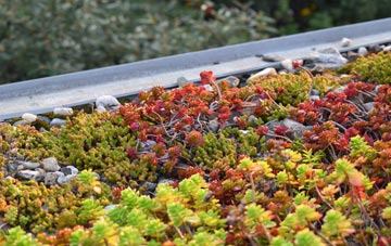 the cost of Rockhampton green roof installation