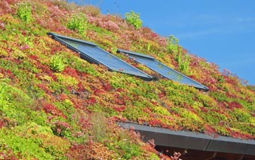 Rockhampton living roof systems